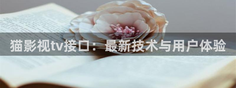 星海之外定档海报