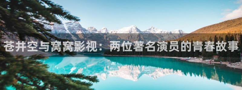 星海之外定档海报