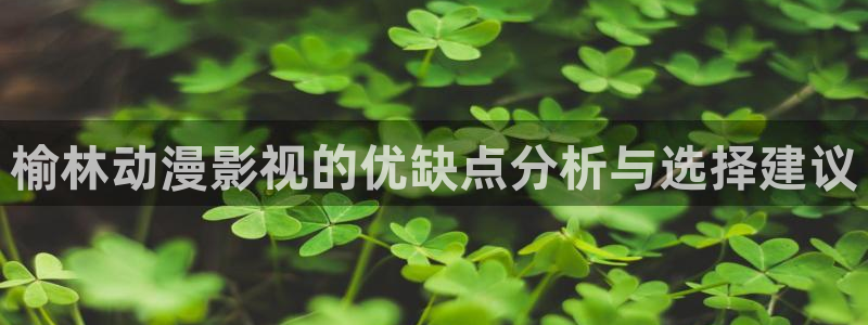 星海之外定档海报